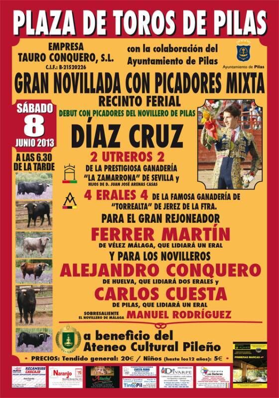 Cartel Toros 2013