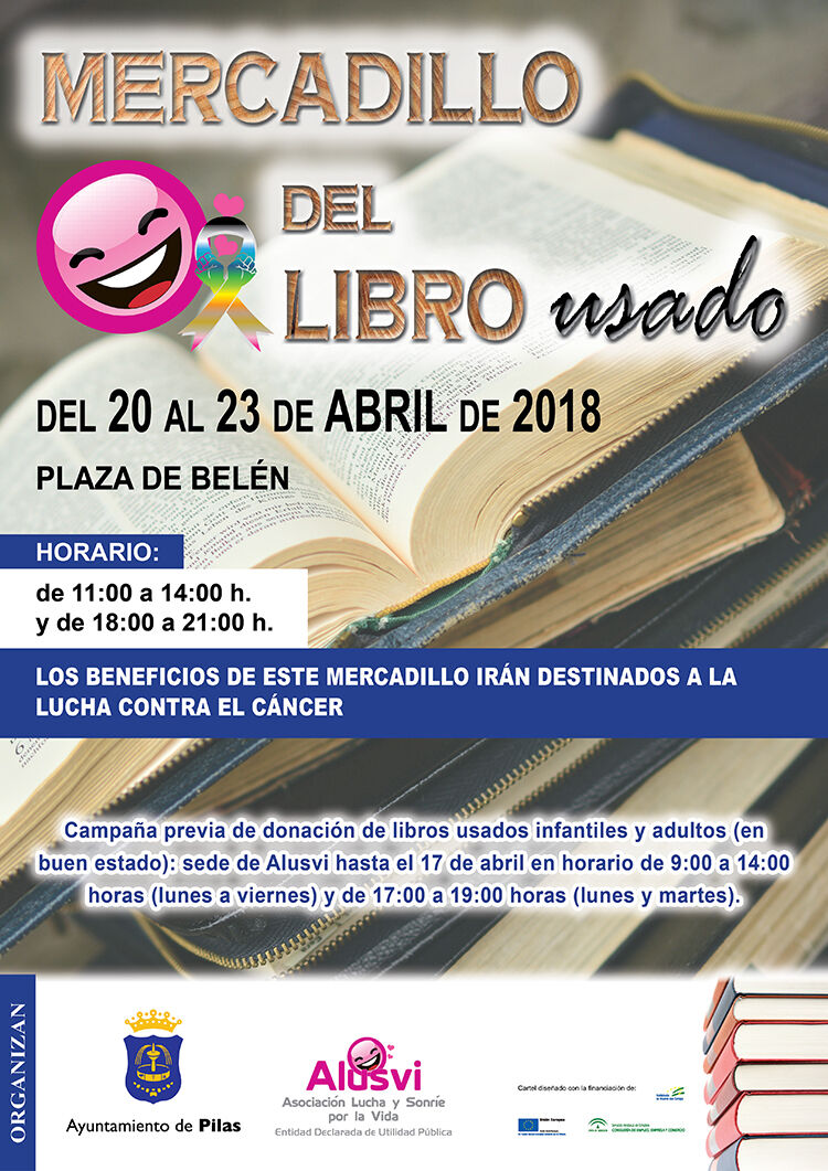 Mercadillo de libros usados pilas web