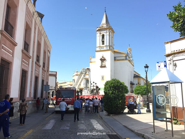 desalojo nido 01 web