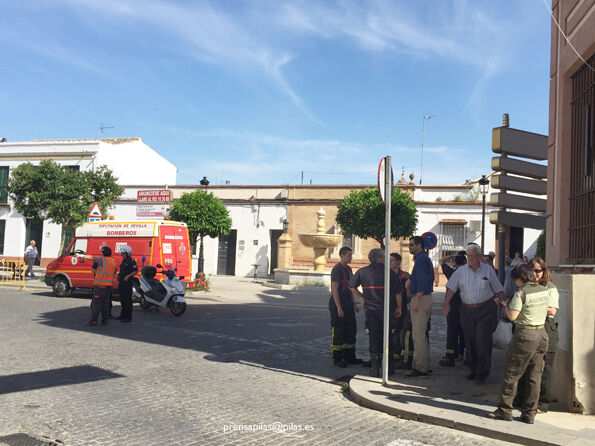 desalojo nido 02 web