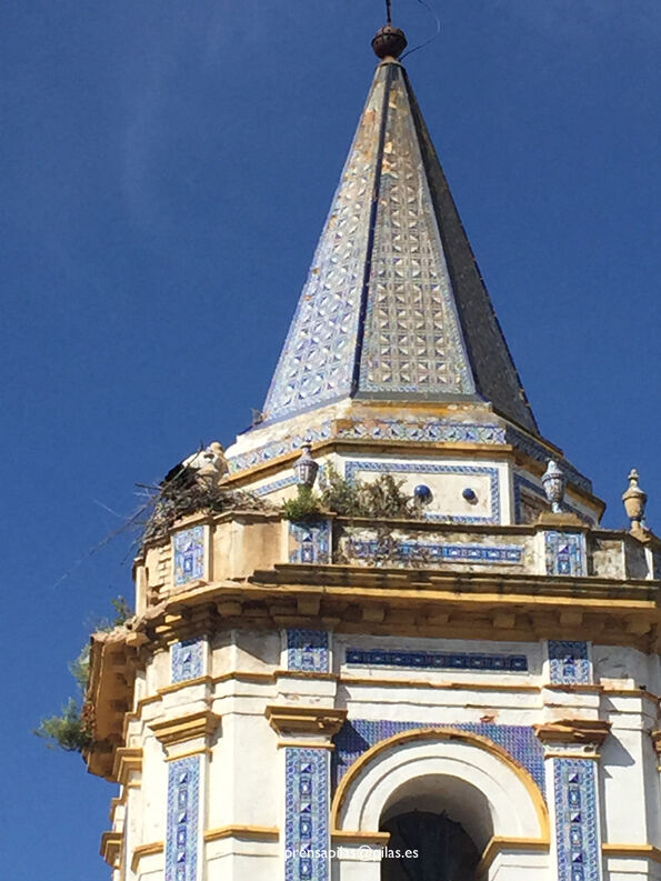 desalojo nido 03 web