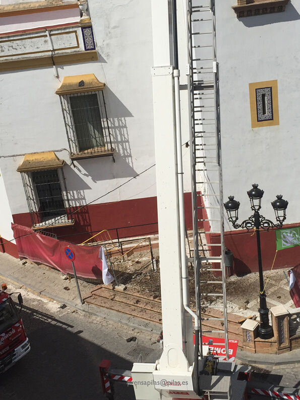 desalojo nido 06 web