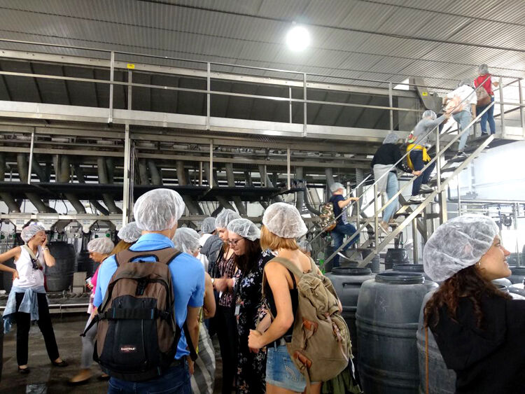 erasmus ies soledad pilas web 04