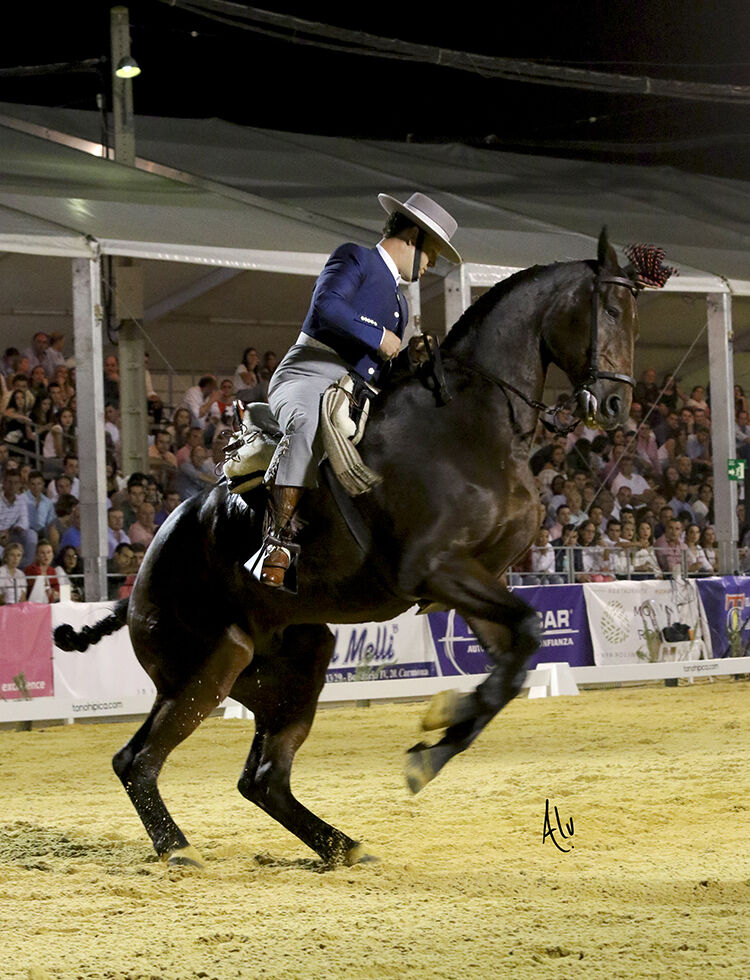 gabriel hernandez 04 web