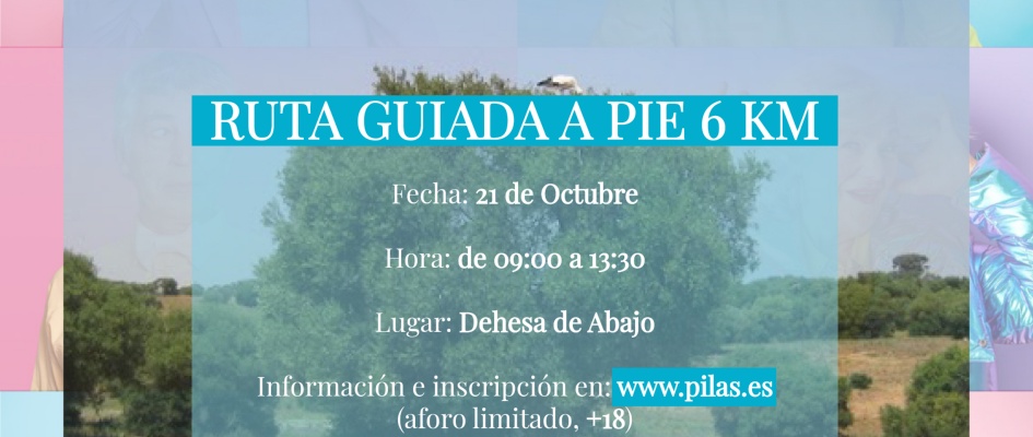 PUBLICACIÓN DÍA INTERNACIONAL PERSONA EDAD-03
