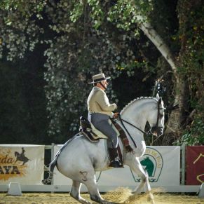 561522788_1254742676682766_628110784493539540_n