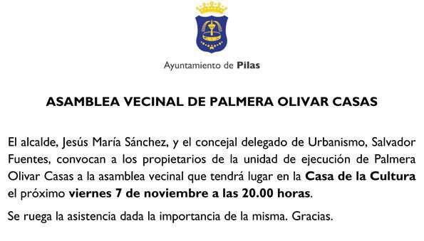 ASAMBLEA VECINAL DE PALMERA OLIVAR CASAS