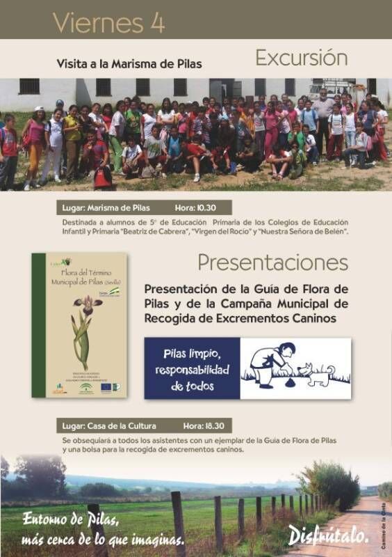 Ambiental6