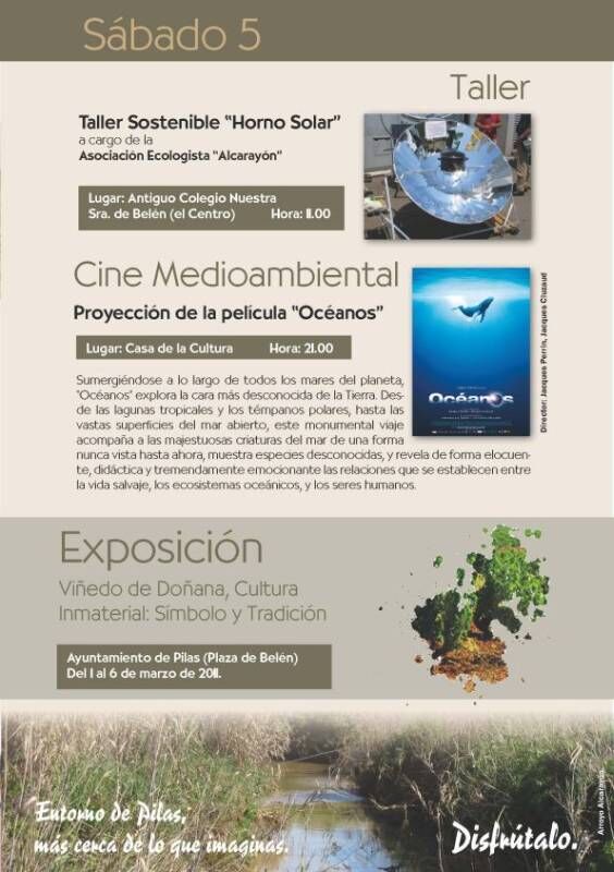 Ambiental7