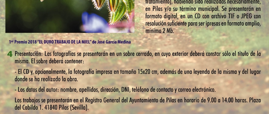 CARTEL_CONCURSO_MEDIO_AMBIENTE.jpg