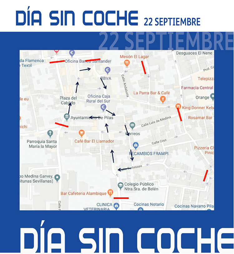 DIA SIN COCHE diptico 02 web