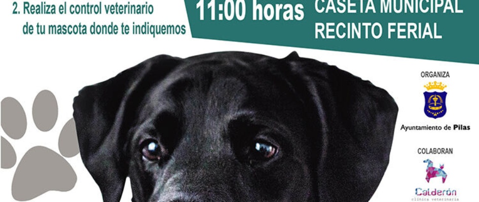 PASEO_CANINO_CARTEL-01_web.jpg