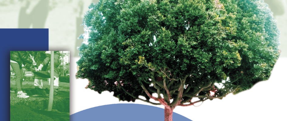 UN ARBOL POR LA VIDAD CARTEL 2024