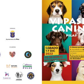 VI PASEO CANINO DIPTICO-01