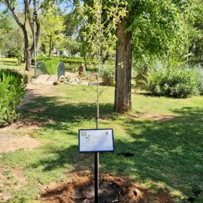 acto final lantana 21