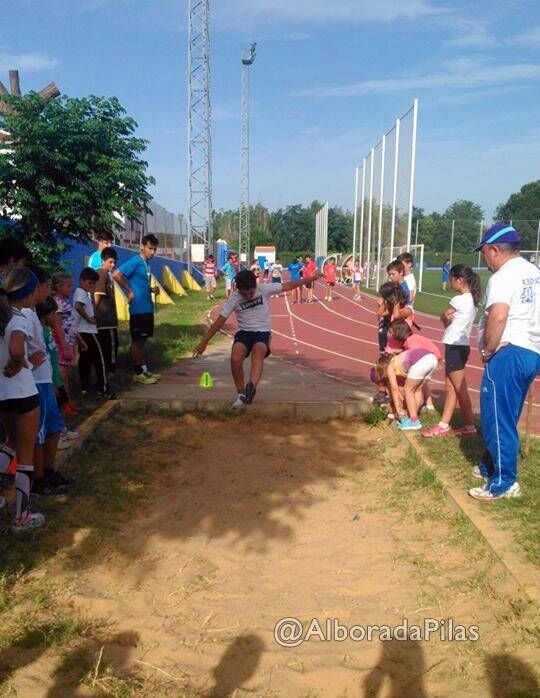 alborada_medallasminiolimpiadas_2014_04