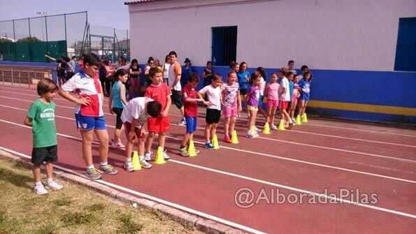 alborada_medallasminiolimpiadas_2014_06