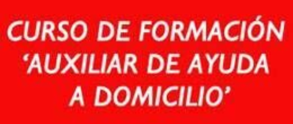 auxiliarayudadomicilio.jpg
