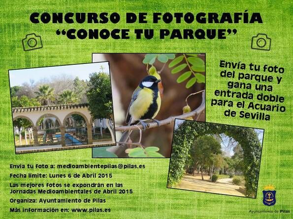 aytoPilas_Cartel Concurso Fotografía_feb2015