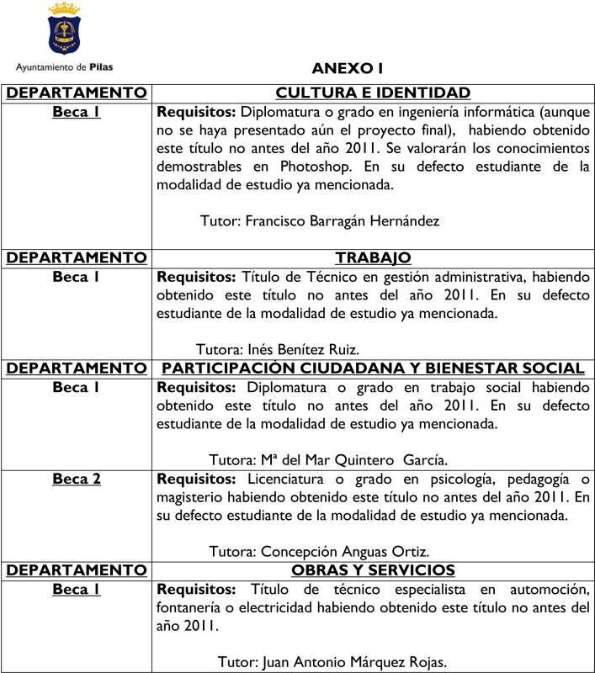 becasayto2013anexo-1