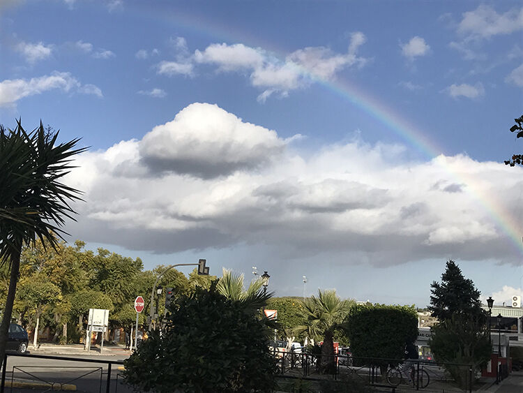 concurso foto medioambiente 11 ¡¡¡Y Salió!!! web