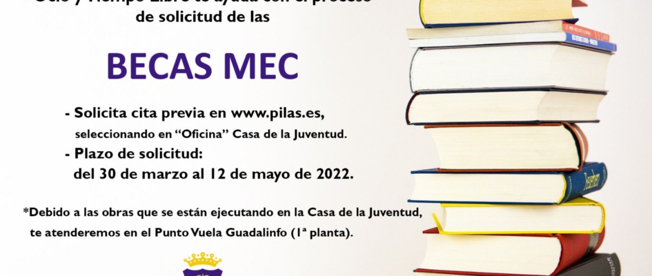 delegacion juventud ayuda solicitud becas mec