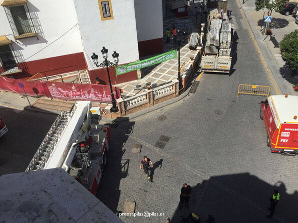 desalojo nido 04 web