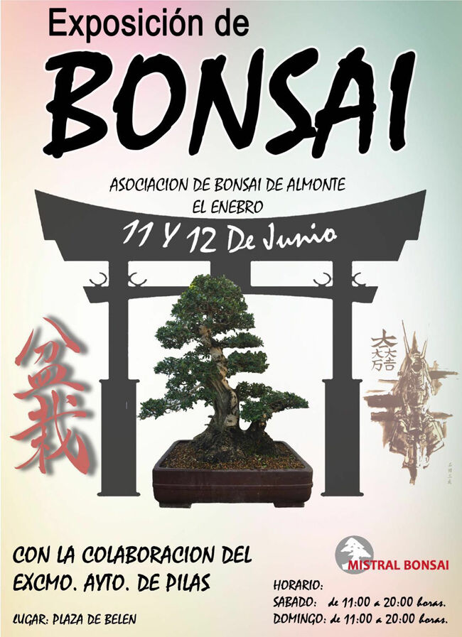 dia_medioambiente_bonsai