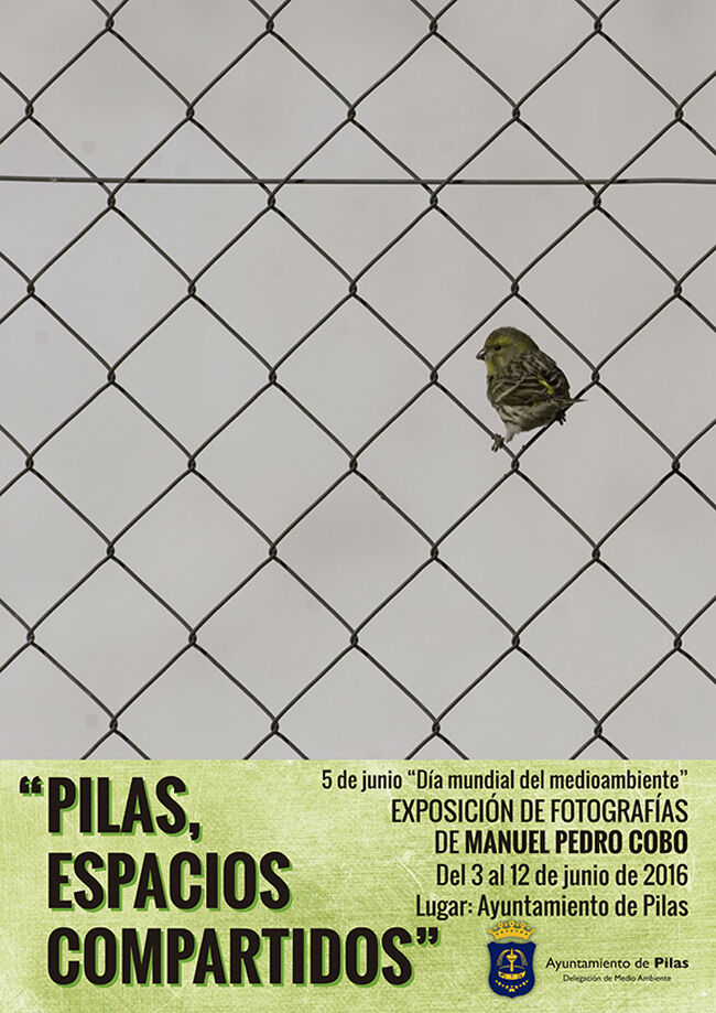 dia_medioambiente_expo