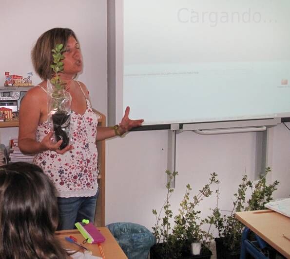 diamambientevbelenalcornoque