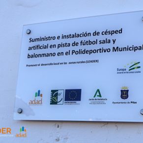 espaciosdeportivospilas3