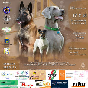 exhibicion perros pilas