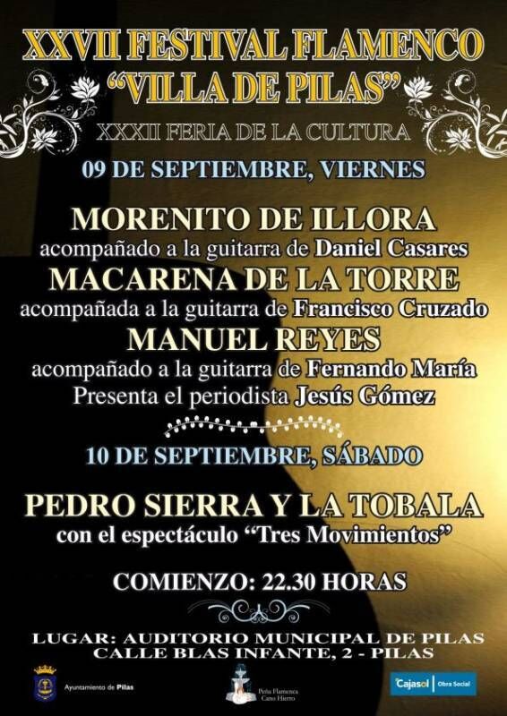 festivalFLAMENCO2011