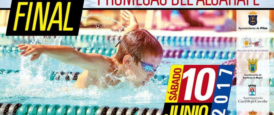 final_provincial_natacion_web.jpg