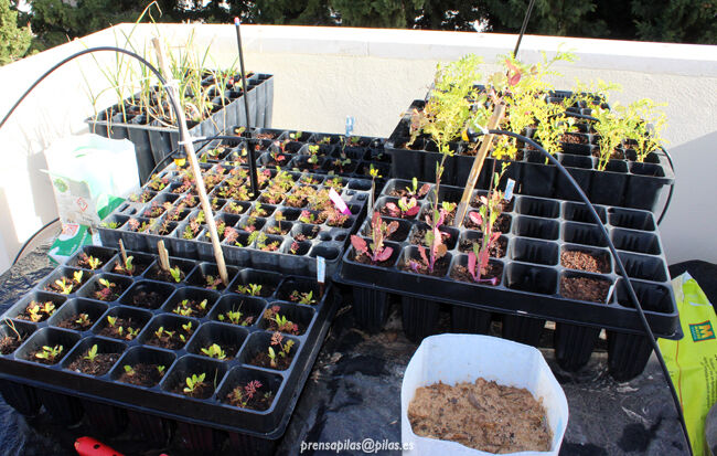 iessoledad_recapacicla08