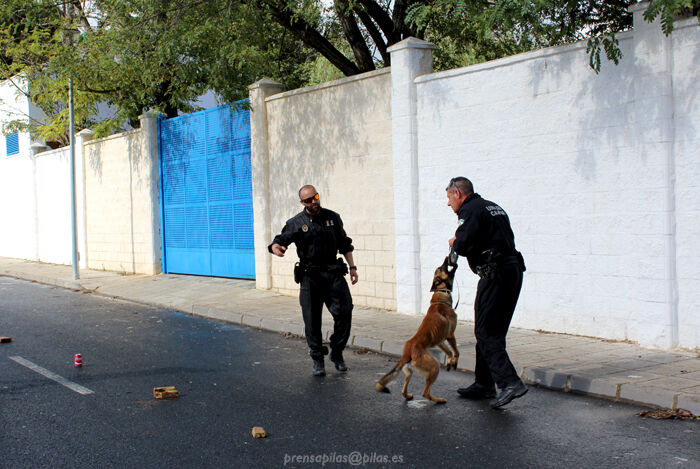 jornada_unidad_canina_pilas (2)