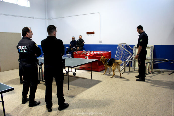 jornada_unidad_canina_pilas (3)