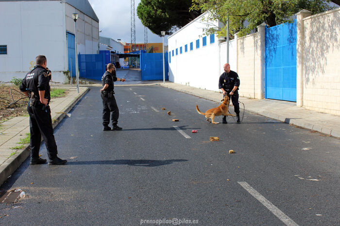 jornada_unidad_canina_pilas (6)