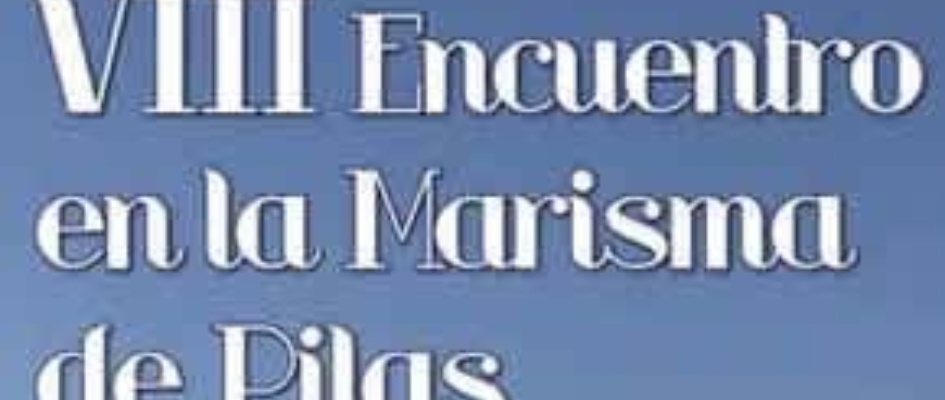 logoVIIIEncuentro_Marisma.jpg
