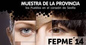 mujeres_empresarias_Cartel FEPME 2014