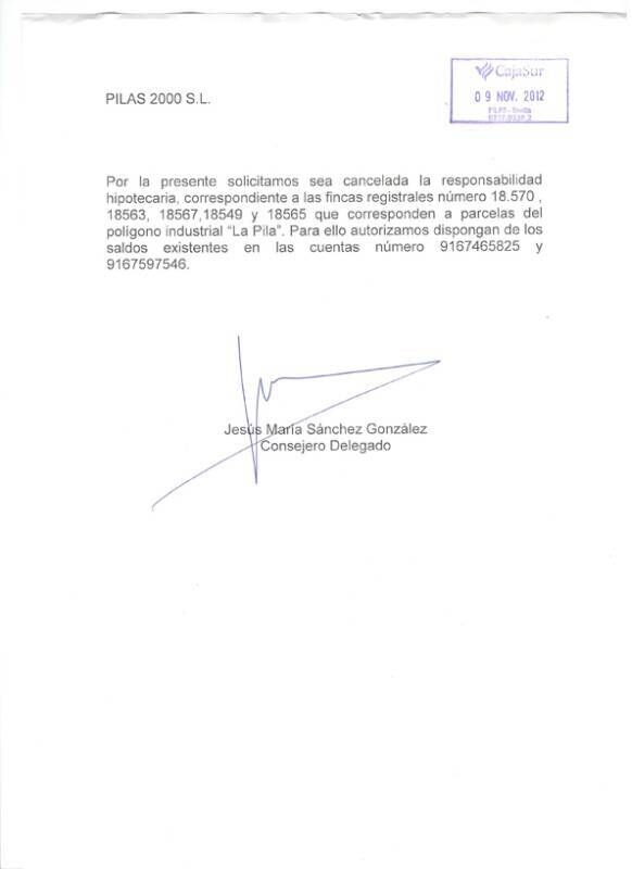 npirregularidadespilacajasur