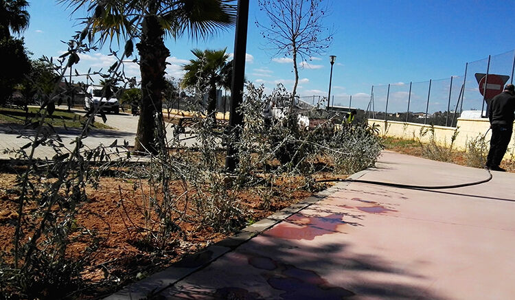 plantas bda europa 02