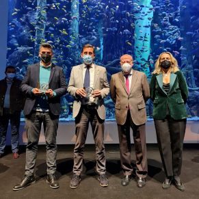 premios digitales diputacion feb 2022 (5)