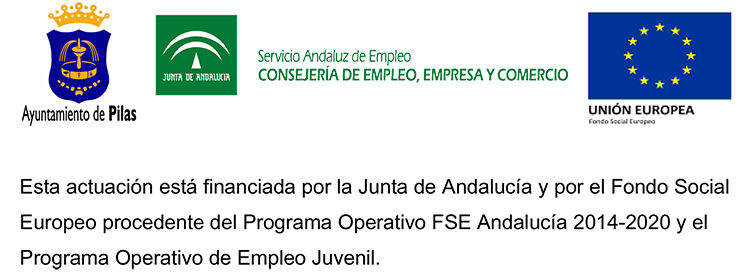 resolucion programa emplea junta 02