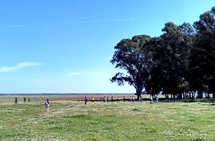 ruta medioambiental marisma 2017 fotos (3) web