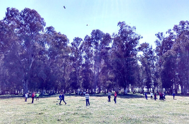 ruta medioambiental marisma 2017 fotos (4) web