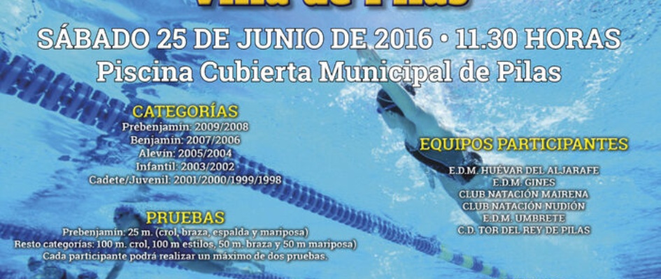 torneo_natacion_feria2016.jpg