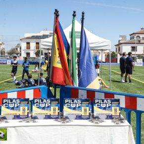 trofeos medallas y banderas