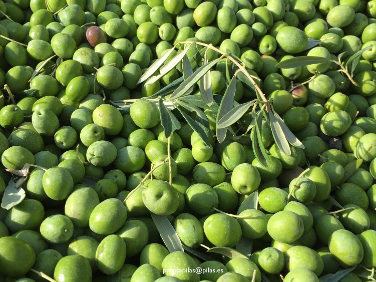 visita finca municipal 2016 01 web