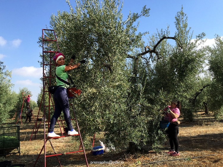 visita finca municipal 2016 03 web